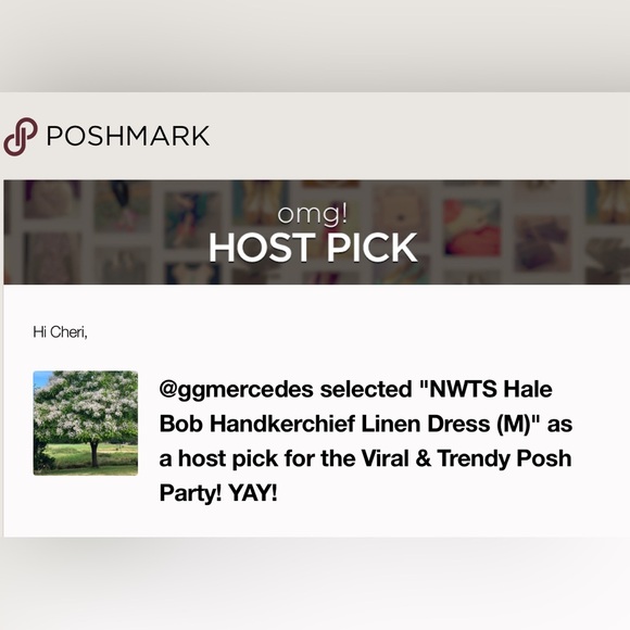 ✨H.P.✨ NWTS Hale Bob Linen Dress (M) - Picture 16 of 16